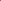 Indian Pink (seedling)