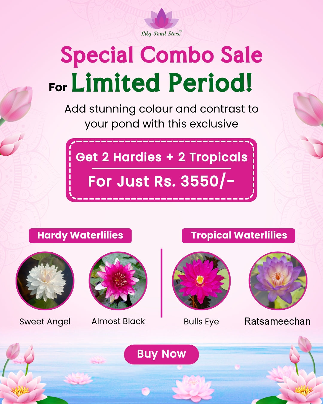 Pond Perfection Combo – 4 Exotic Waterlilies at 50% OFF! and free Shipping